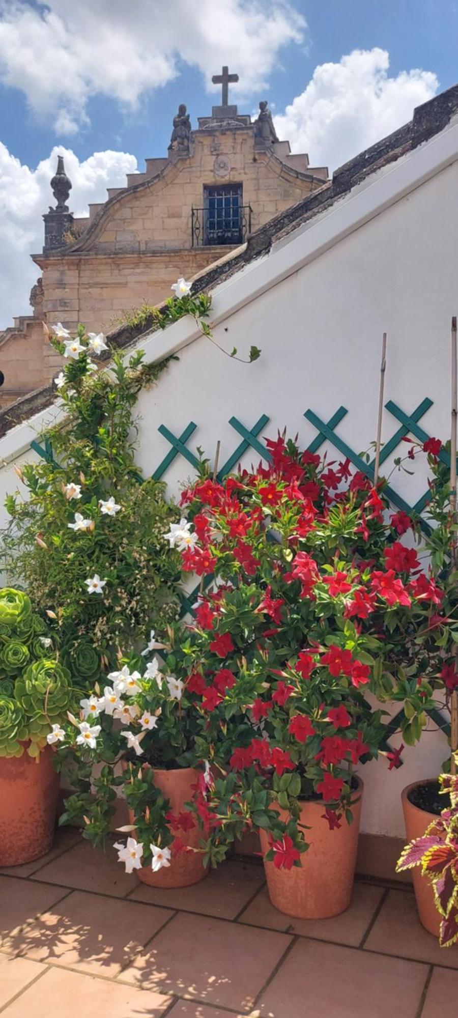 Apartamentos Los Descalzos Angel With Private Terrace Free Parking Ronda Eksteriør bilde