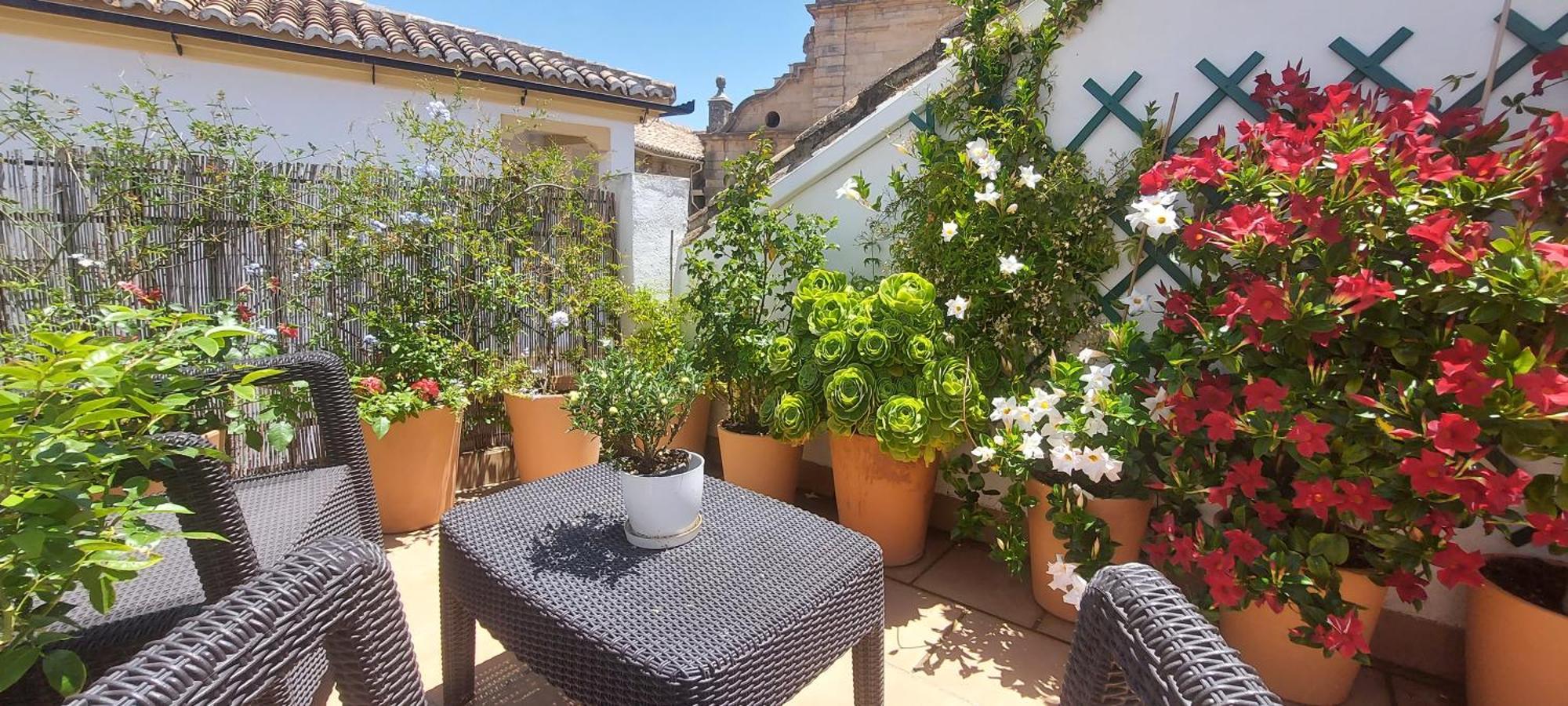 Apartamentos Los Descalzos Angel With Private Terrace Free Parking Ronda Eksteriør bilde