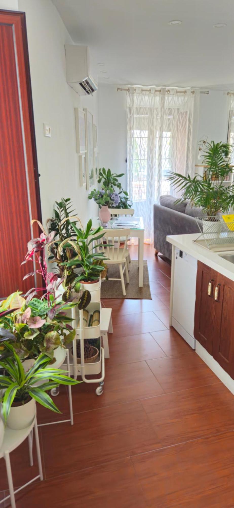 Apartamentos Los Descalzos Angel With Private Terrace Free Parking Ronda Eksteriør bilde