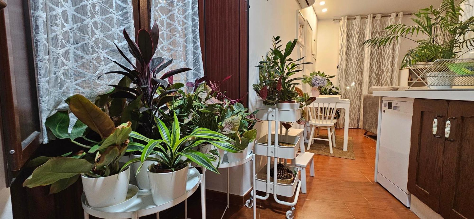 Apartamentos Los Descalzos Angel With Private Terrace Free Parking Ronda Eksteriør bilde